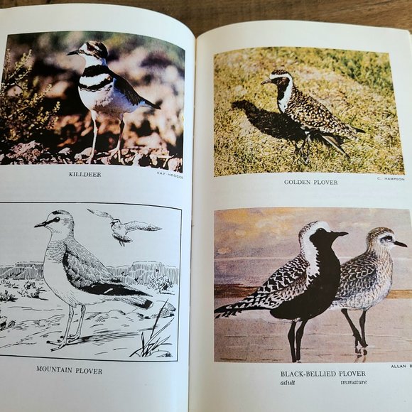 The birds of Alberta book by Salt-Wilk. - Picture 9 of 13